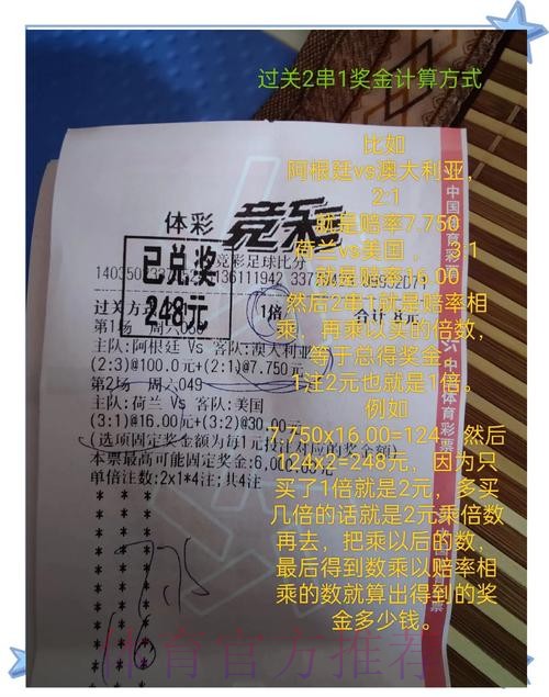 全面解析世界杯投注比例趋势