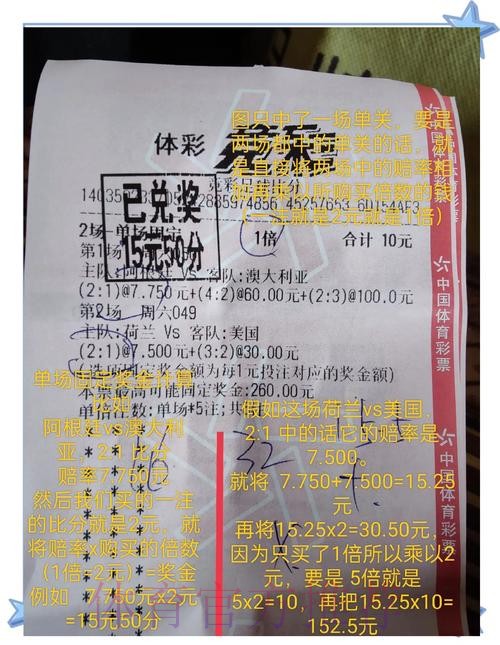 全面解析世界杯投注比例趋势